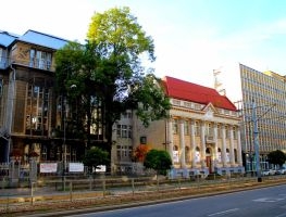 ALEJA TADEUSZA KOŚCIUSZKI